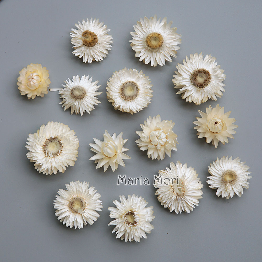 Doğal kurutulmuş renkli krizan - Candle Making Diy incelemesi ve fiyatı