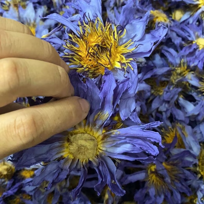 Doğal Lotus Çiçeği Aromatik Ku - Candle Making And Perfume incelemesi ve fiyatı